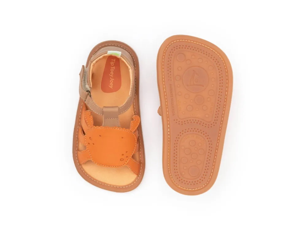 Tip Toey Joey Craby - Alderwood/ Tangerine