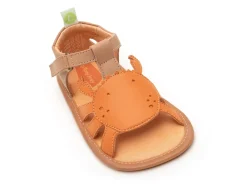 Tip Toey Joey Craby - Alderwood/ Tangerine