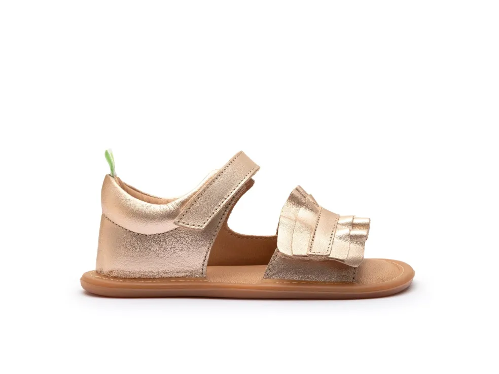 Tip Toey Joey Ruffy - M.Salmon