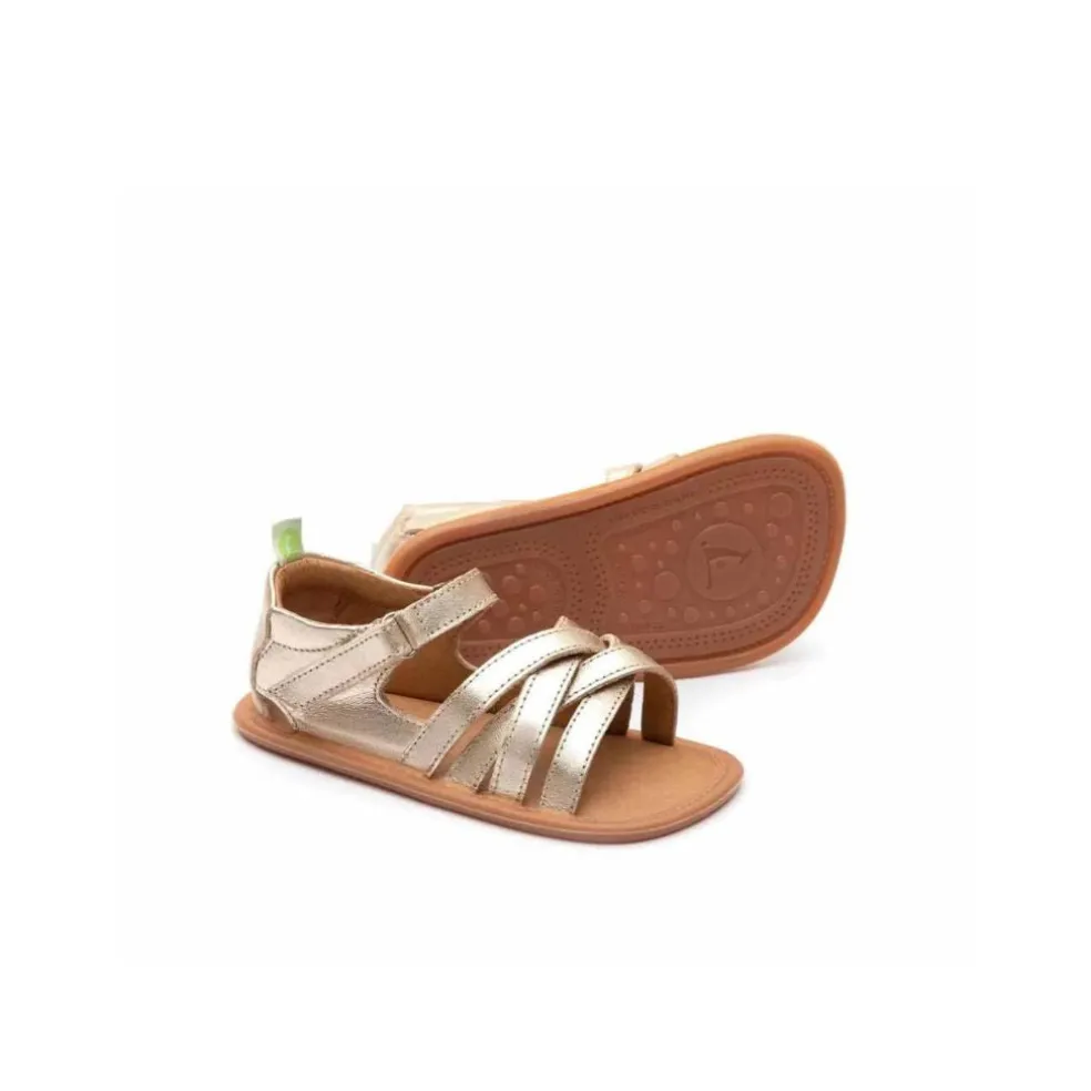 Tip Toey Joey Toddler Sandal Criss Cross - Champagne