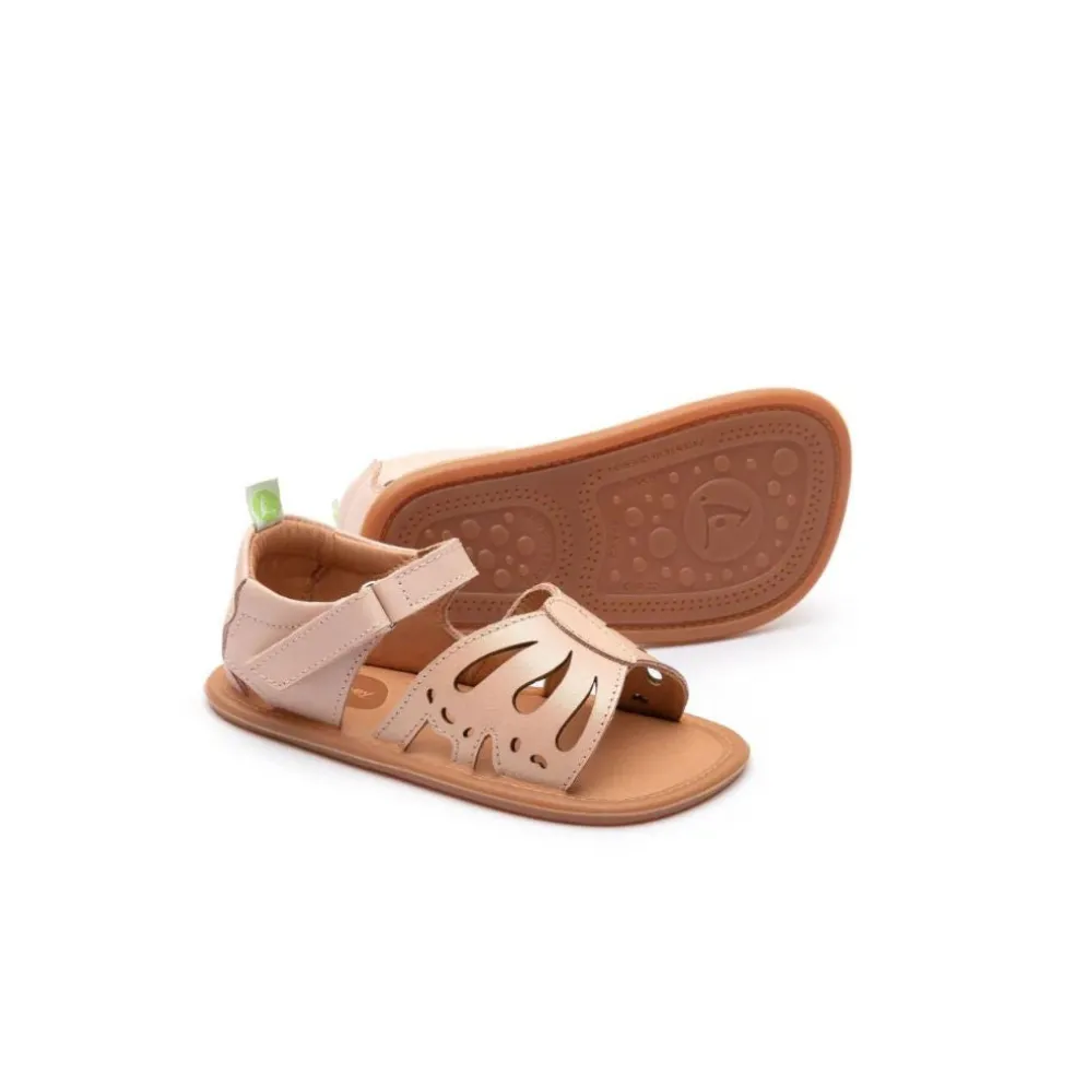 Tip Toey Joey Toddler Sandal Fairy - Candy Dream/Cotton Candy