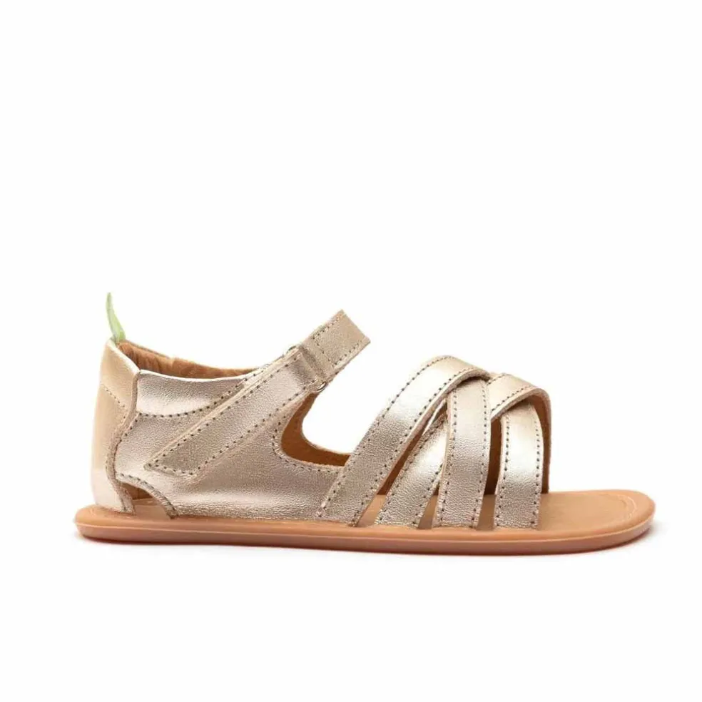 Tip Toey Joey Toddler Sandal Criss Cross - Champagne