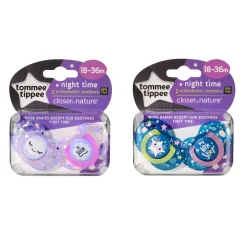 Tommee Tippee Closer to Nature 2pk Night Time Soother with Case