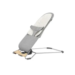 UPPAbaby Mira 2-in-1 Bouncer and Seat